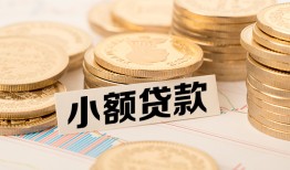 东莞急用哪里有小额贷款-东莞急用身份证贷款平台-东莞急用民间短借